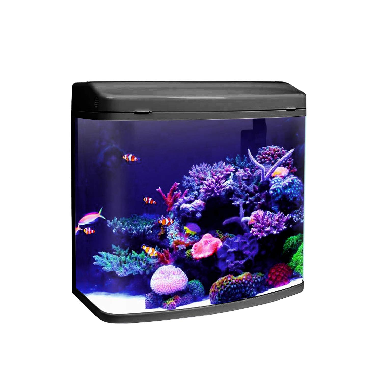 External Canister Filter