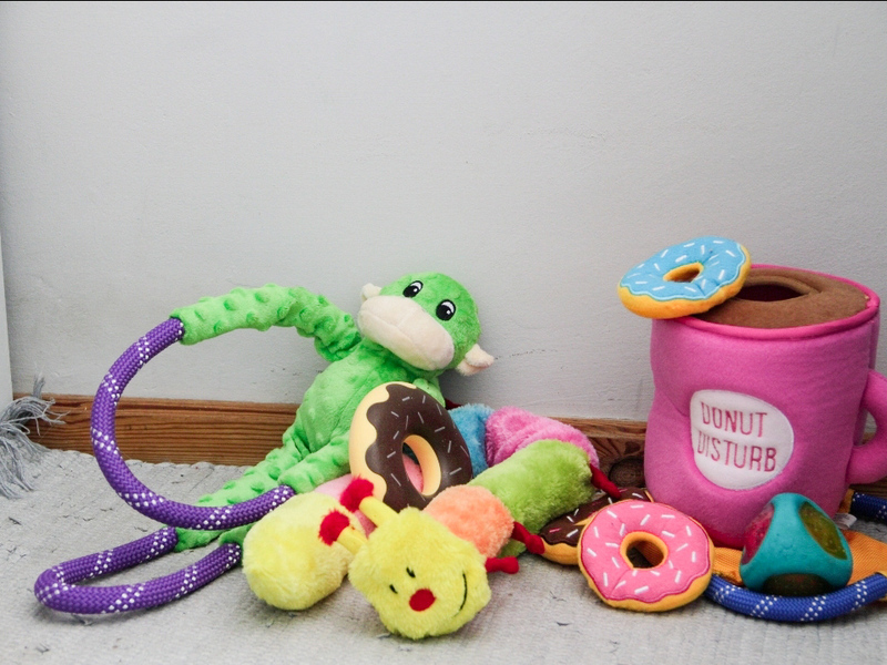 Orthopedic Dog Bed